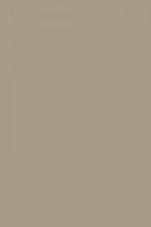 FARROW AND BALL MOUSE'S BACK NO. 40 PAINT